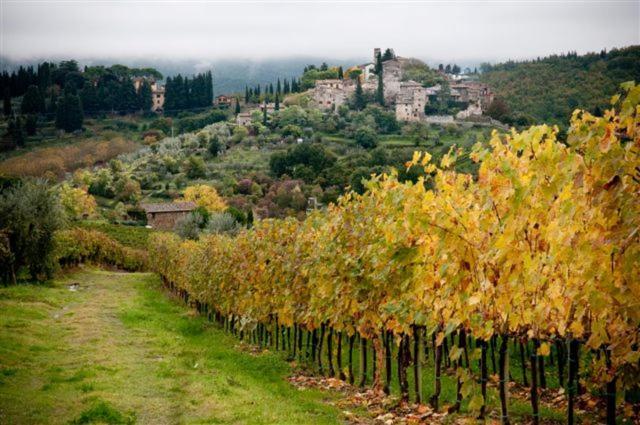 Agriturismo Podere Torre Greve in Chianti Exterior foto